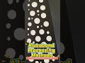 ACP Fabrication Process | Drilling, Grooving, Bending &amp; Installation | Neitabond #alucobond  #acm