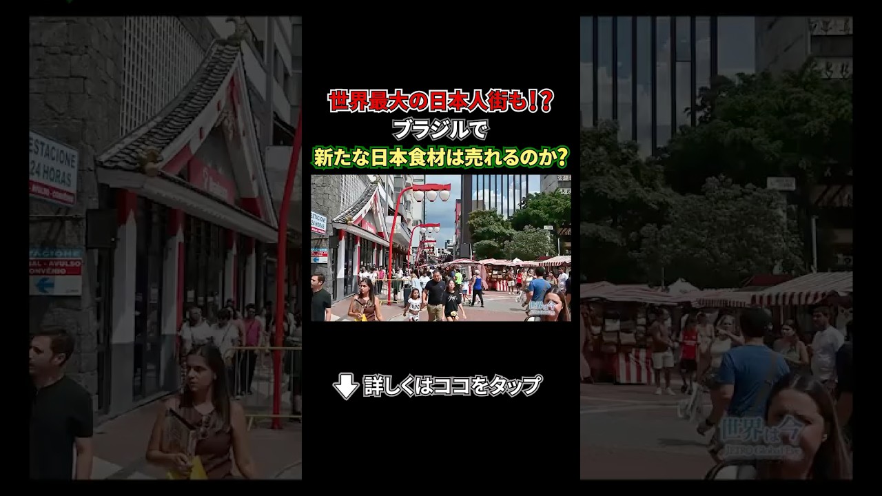 🐟日本の水産物 ついに地球の反対側へ🌎 ブラジルで求められる食材とは? #shorts