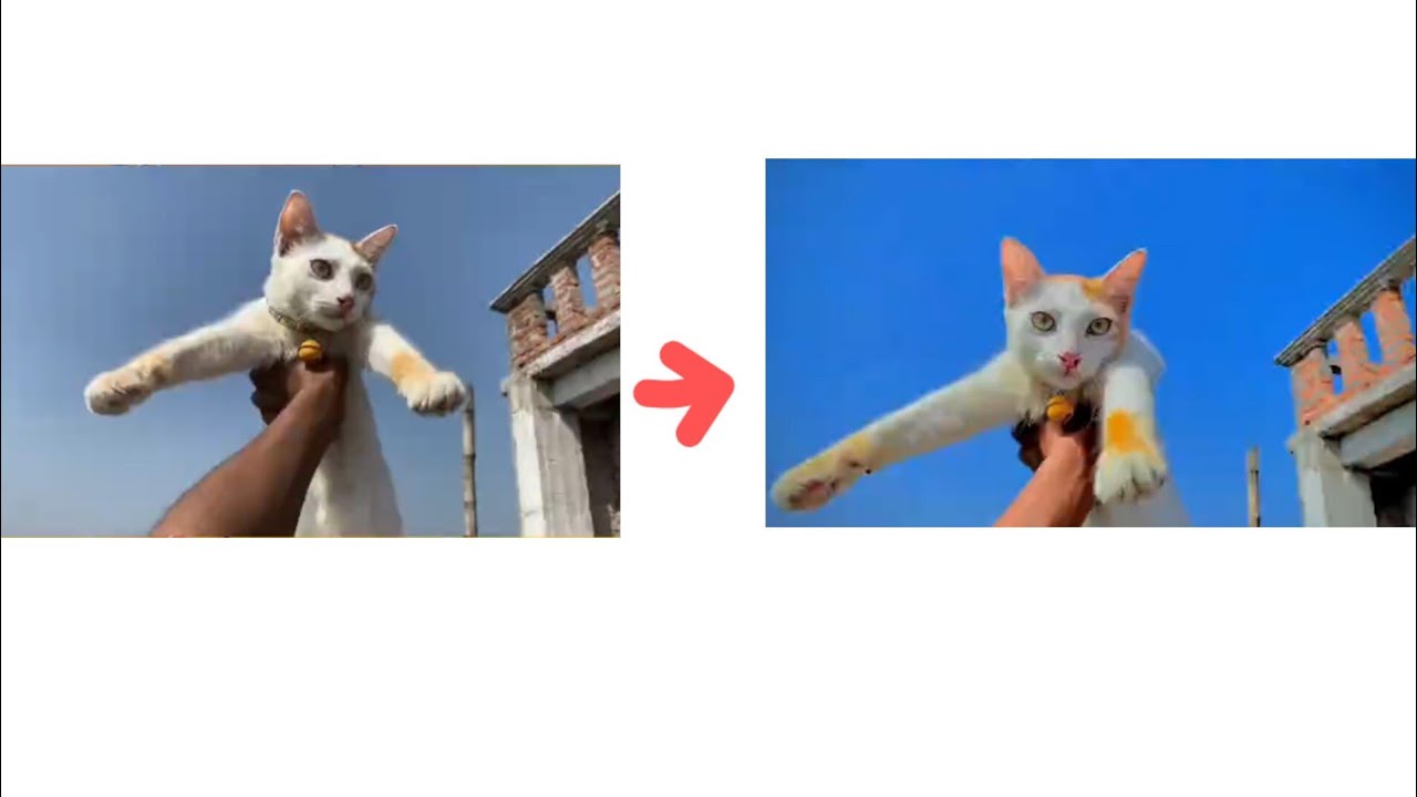 Colors video editing ✅🌷 