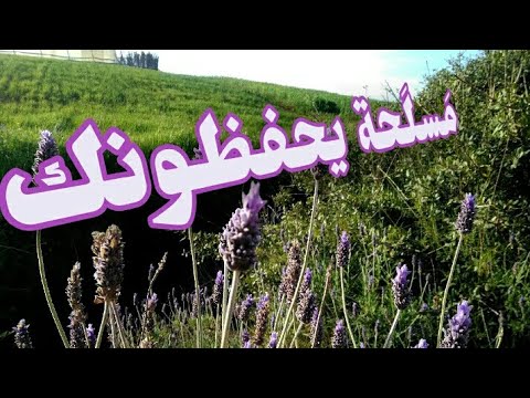 أقوى كلمة في الوجود