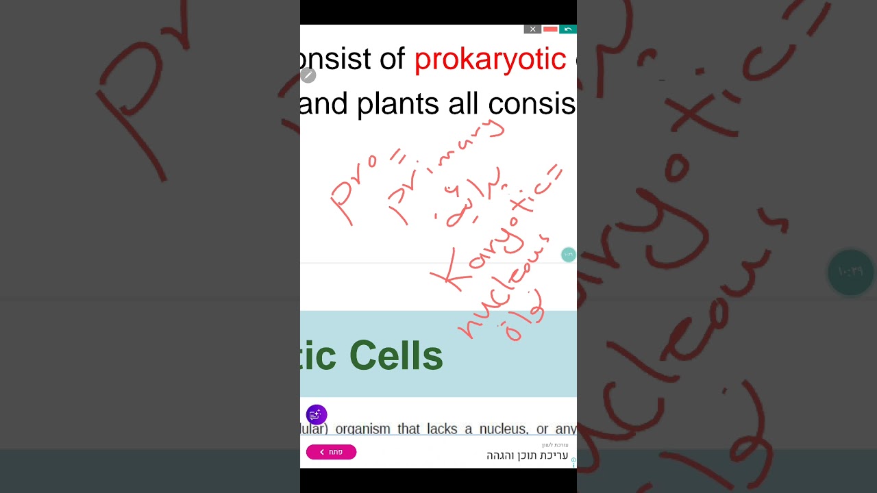 ٢٧ كانون الأول ٢٠٢٥