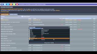 module manager