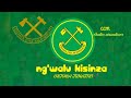 Ng Walu Kisinza Ccm Official Audio 2025