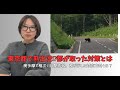 【東京都で熊出没!?】環境局が作った“東京クマップ”とは？都議・川松真一郎×佐藤沙織里が語る都の対策