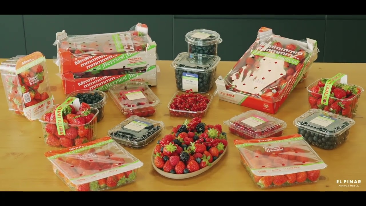 El Pinar. Innovation et production de plants et de fruits rouges.