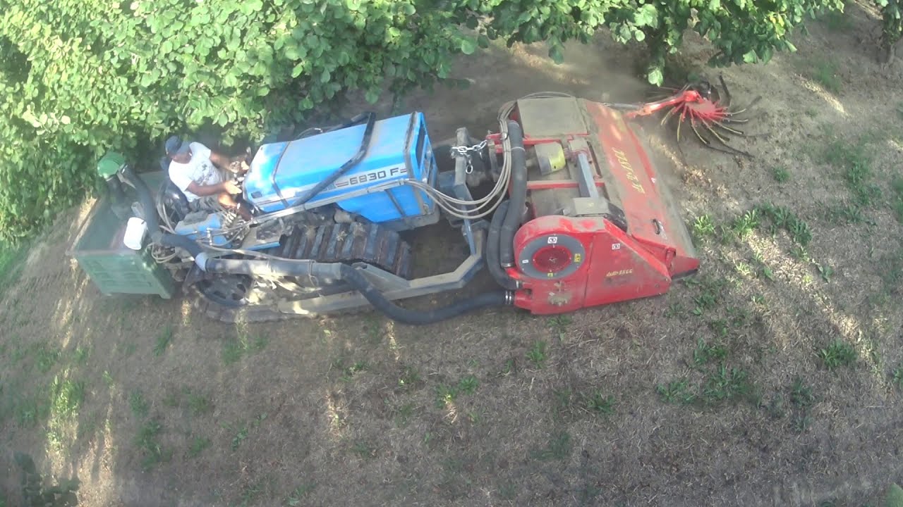 raccolta nocciole 2025 con raccoglitrice jolly  1800 su cingolo + spazzola