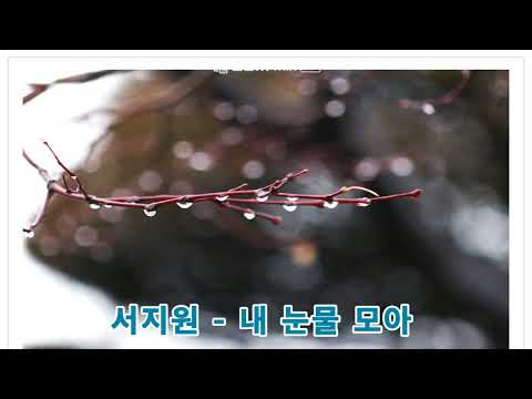 서지원 - 내 눈물 모아 (1996)