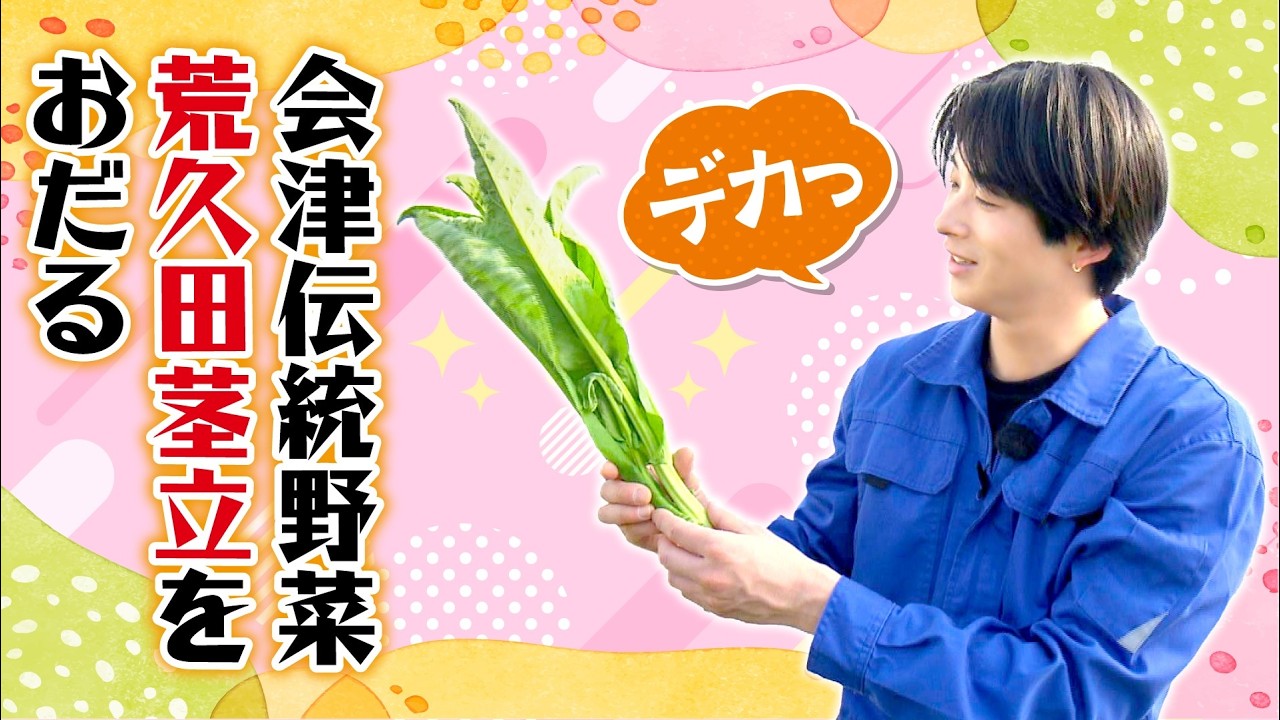 【伝統野菜を初収獲】会津伝統の荒久田茎立を澤夏が絶品メニューに!