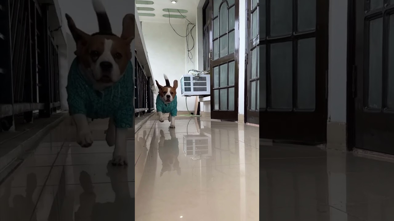 Who wants treats 😂 