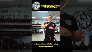Learn Stick Fighting for Self-Defense | May 2nd at HMA