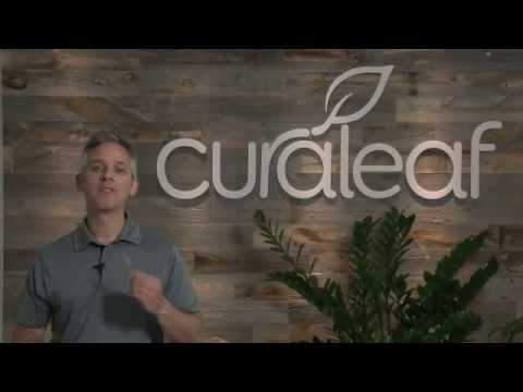 How-To: Curaleaf Concentrate Oil Dropper - video from Curaleaf