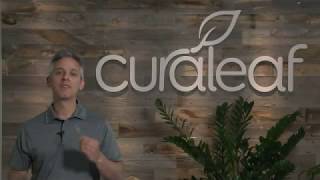How-To: Curaleaf Concentrate Oil Dropper