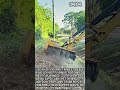 닿는 순간 갈려나간다! 트랙터 붐 모어의 무자비한 덤불 제거 #worker #process #oddlysatisfying #mowing #heavyequipment