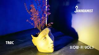 Download Lagu JANINDAMIST - SLOW-FI VOL.1 (Full Album) MP3