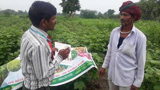 Nava Bharat fertilizers video(4)