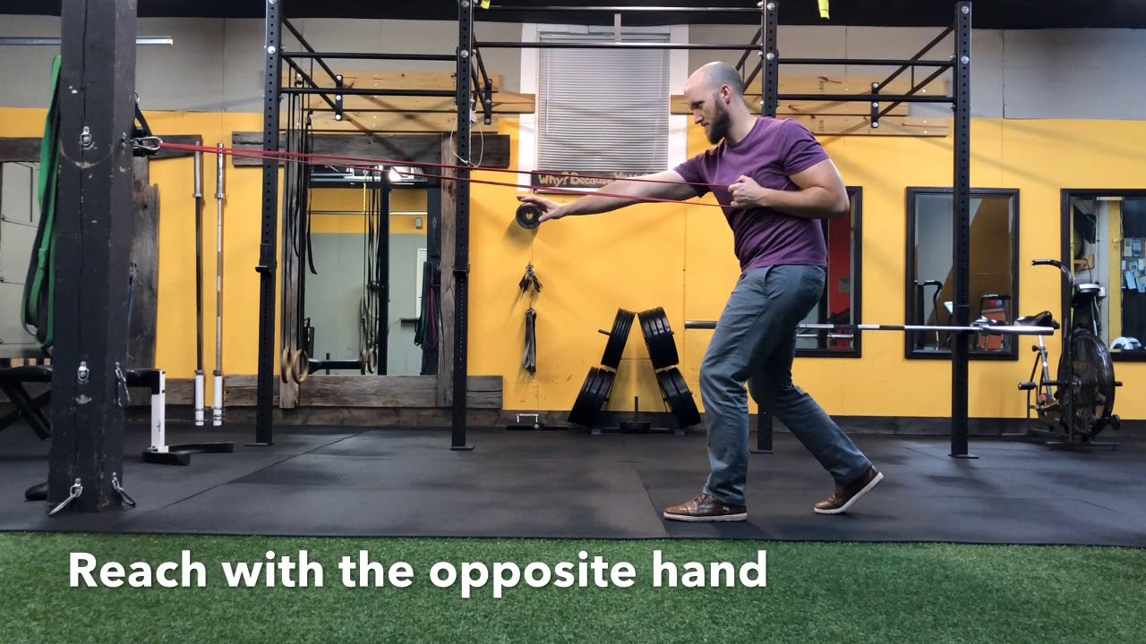 Split Stance Single Arm Rotational Row - YouTube