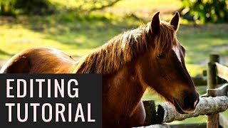 How I edit my Photography | HorseFriends screenshot 4