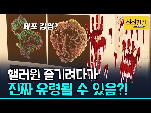 [사사건건 플러스] 코로나19, 3자리 숫자 아슬아슬~;; 그에 비해 경제 성장률 괜찮다?_201027(화)
