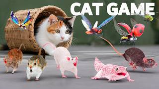 CAT Games - Ultra Realistic 3D CAT TV | Best Videos to Watch for Cats | 9 HOURS 😺 4K60FPS screenshot 4