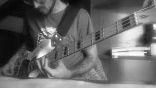 Rhcp Parallel Universe Bass Cover