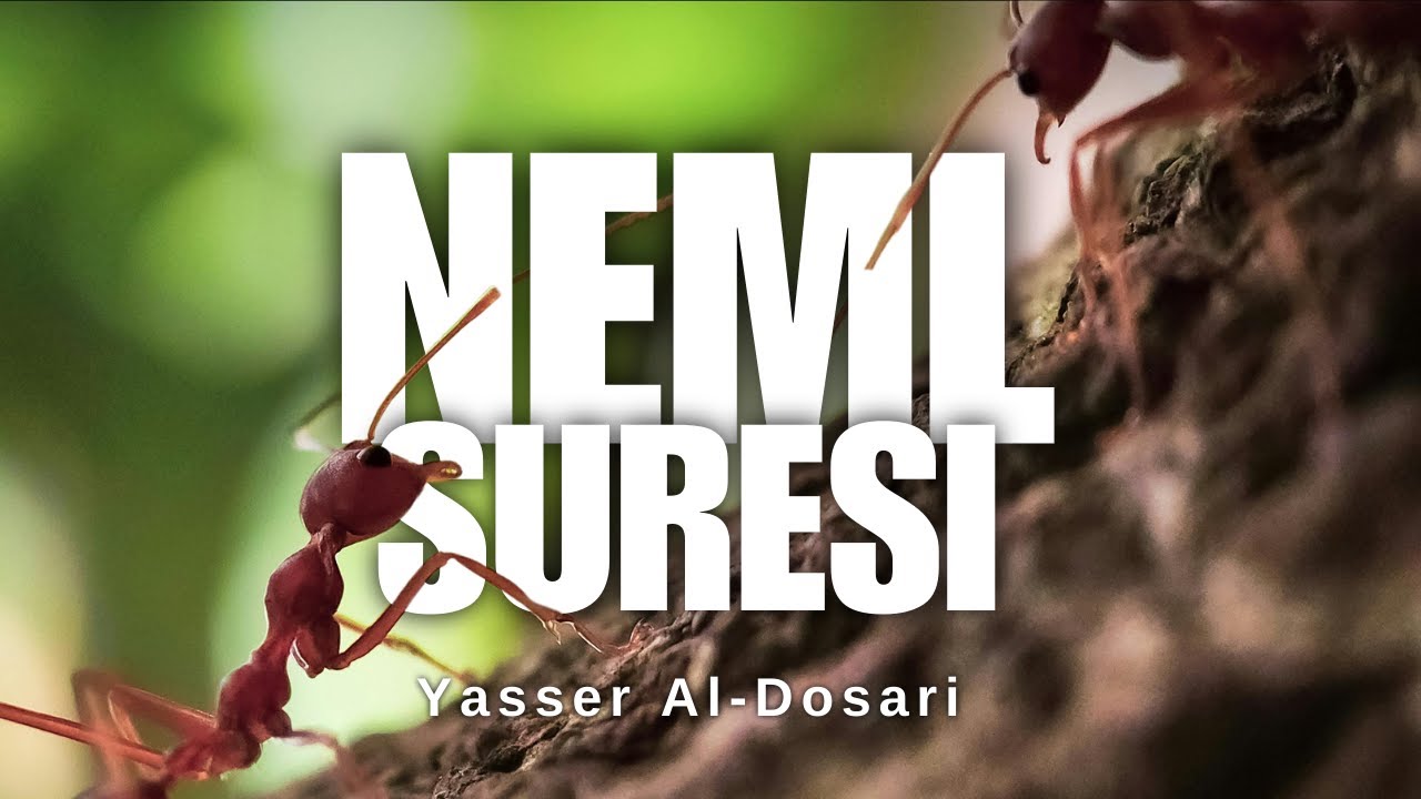 Yasser el-Dosari | Neml Suresi