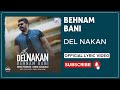 Behnam Bani Del Nakan I Lyrics Video بهنام بانی دل نکن
