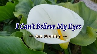 I Can&#39;t Believe My Eyes - KARAOKE VERSION - in the style of Air Supply