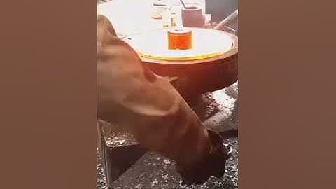 How the Weld Neck Flange was forged by Forging Hammer and Ring Rolling Machine ?