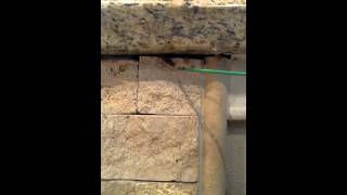 Tomball Pest Control (FREE QUOTES) 281-841-0093