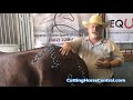 Superior Equine Sports Massage Therapy