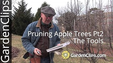Pruning and Maintaining Apple Trees - Part 2 - Required Tools