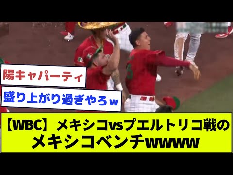 【WBC】メキシコvsプエルトリコ戦のメキシコベンチwwww【なんJ反応】