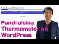 Free Fundraising Thermometer on Your WordPress page