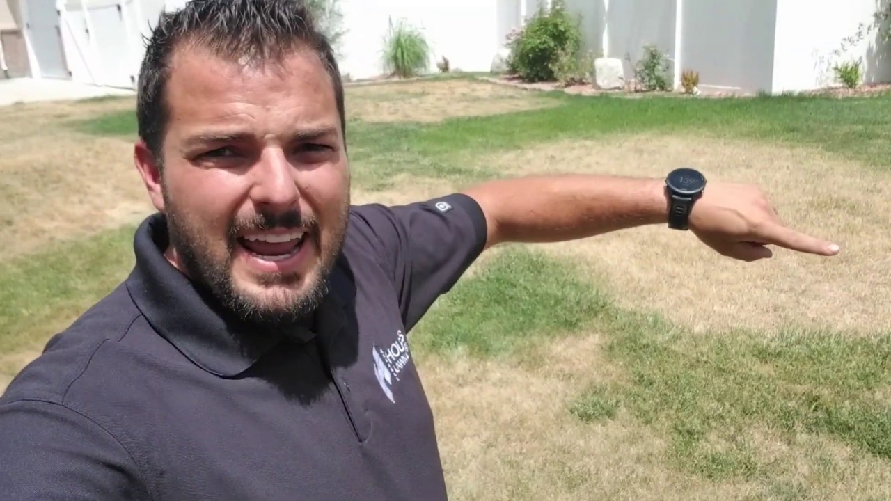 Почему моя трава умирает?