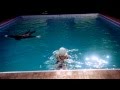 Harold and Maude - Swimming Pool Scene