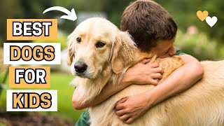 TOP 10 BEST DOG BREEDS FOR KIDS  (most kidfriendly dogs)