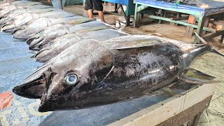 UKI OFFICIAL Live 2 Juni 2024 Pemotongan Tuna Segar di Pasar Ikan Jembatan Puri Sorong Papua