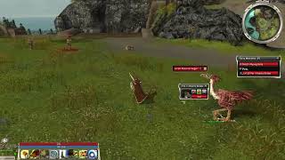 Guild Wars - Pet UI basics