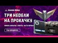 Усы Аркадия №6 ♦ Ответы разработчиков ♦ Игра Калибр