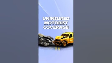 Why you NEED uninsured motorist coverage