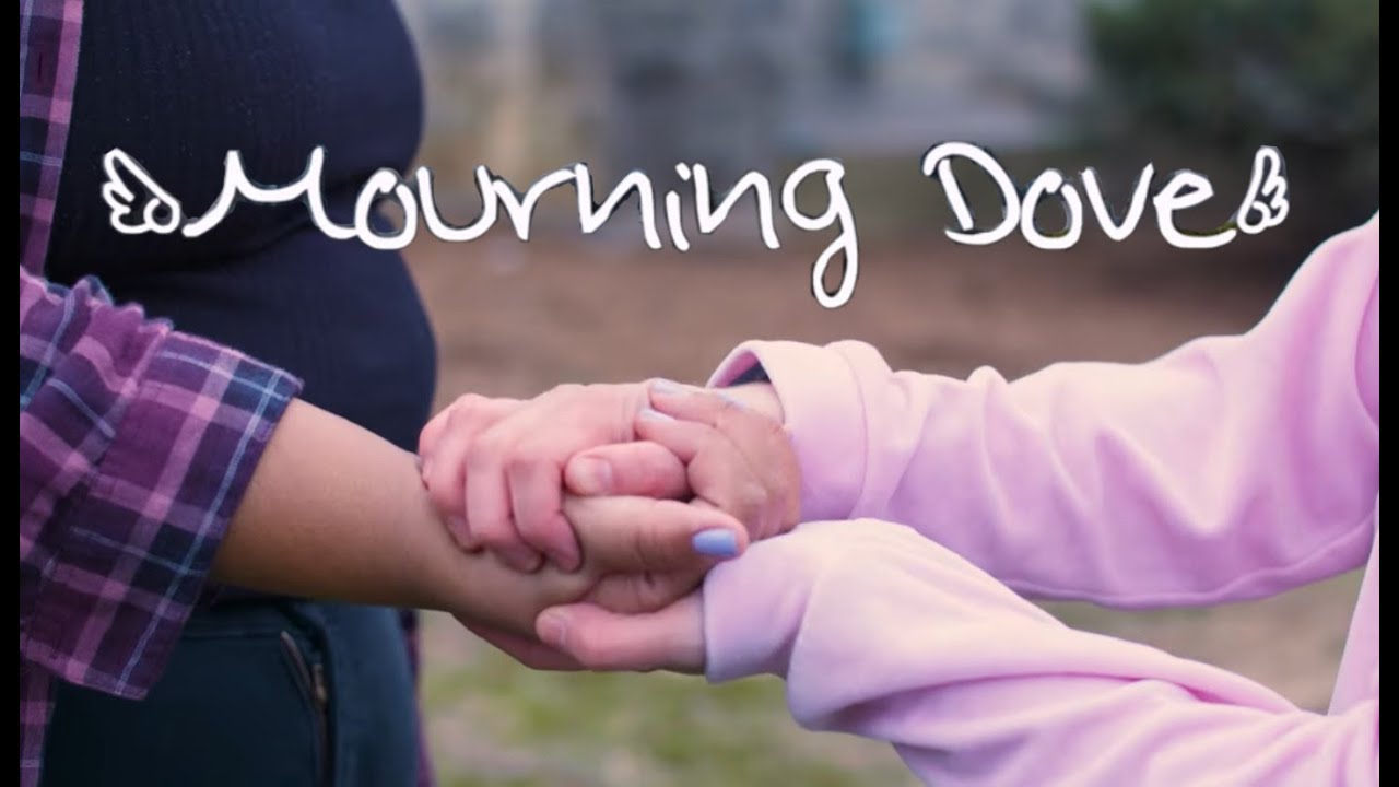 Mourning Dove | Short Film