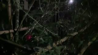 IMG 6513