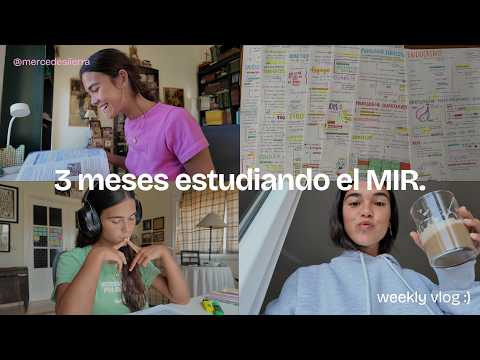 Vuelta a la rutina: hola septiembre!