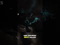 Journey to the Mesmerizing Glow Worm Chamber