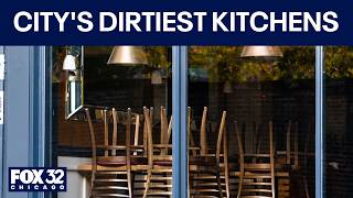 Dirty Dining Chispections track Chicago s worst kitchens