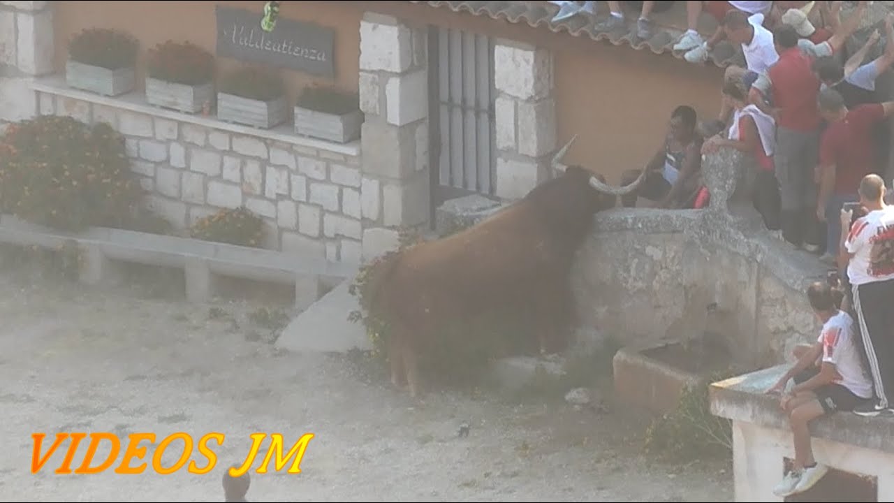 Encierro Campo Brihuega 2022.¡Espectacular Resumen!!!