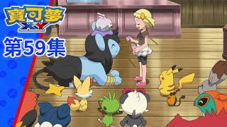 寶可夢XY | 第59集 | 小智與莎莉娜首次約會！？誓約之樹與禮物！！ | 寶可夢 官方