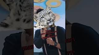 Kesel Ma Dzawin Gara Diajak Naik Gunung  Bintang Emon