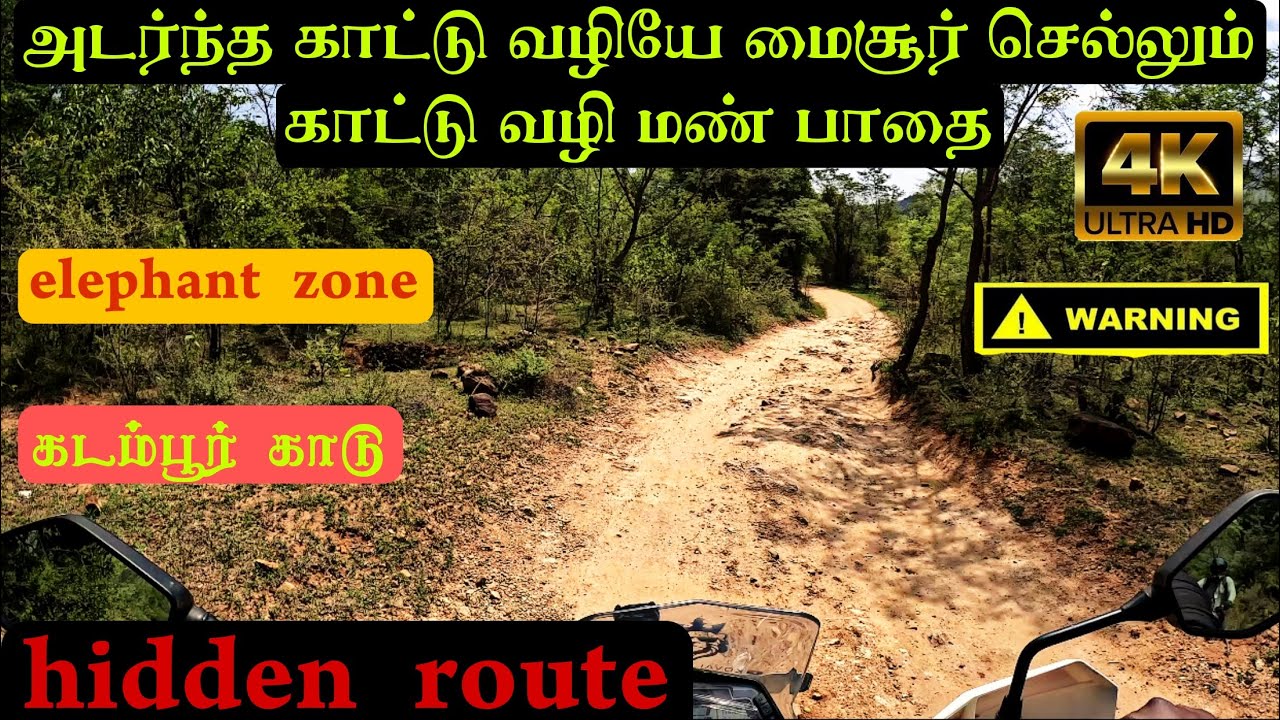 அடர்ந்த காடுகள் வழியே மைசூர் செல்லும் காட்டு வழி மண் பாதை|elephant zone|river crossings