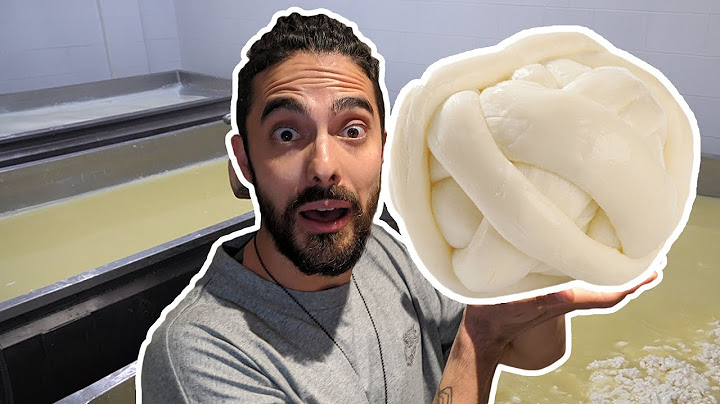 HOW IS CHEESE MADE? / A day as a cheesemaker